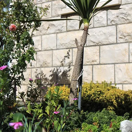 Appartement By The Sea Lumbarda, Korcula - 9300
