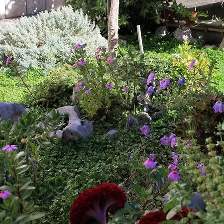 By The Sea Lumbarda, Korcula - 9300 * Lumbarda