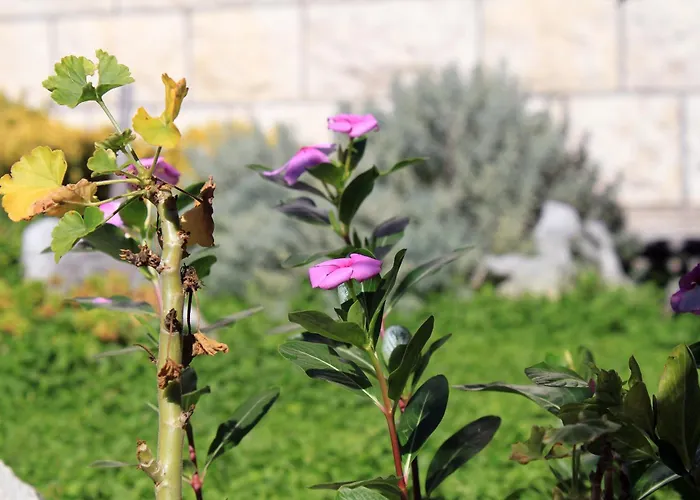 By The Sea Lumbarda, Korcula - 9300 Appartement Lumbarda