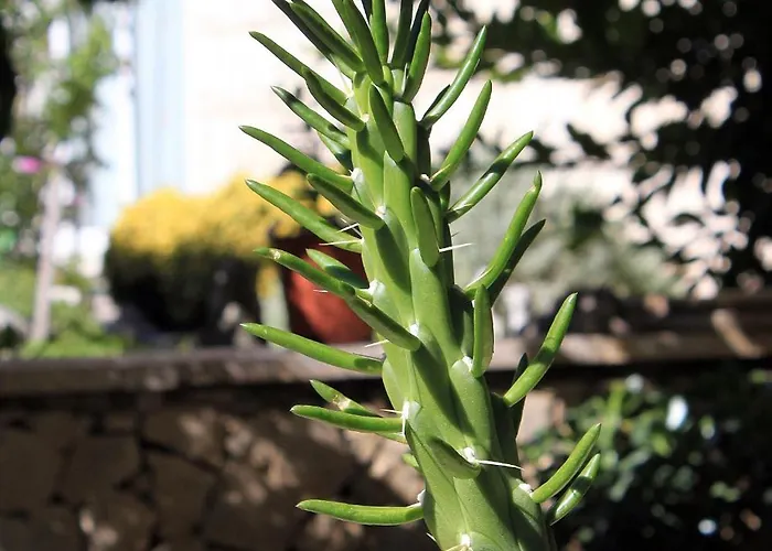 By The Sea Lumbarda, Korcula - 9300 *