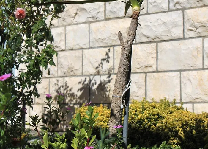 Appartement By The Sea Lumbarda, Korcula - 9300